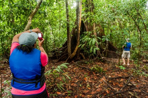 Atividades de ecoturismo são retomadas em 10 Unidades de Conservação do Amazonas
