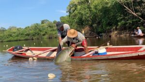 Imagem da notícia - Instrução normativa define critérios técnicos para classificar pescadores e aquicultores