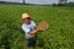Imagem da notícia - Governo do Amazonas expande trabalho de juticultores