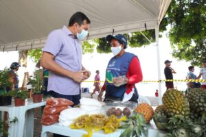 Imagem da notícia - Kits feira entregues pelo Governo do Estado, em Alvarães, beneficiarão cerca de 500 agricultores familiares