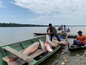 Imagem da notícia - Sema e Ministério da Agricultura discutem soluções técnicas para manejos de pesca no Amazonas