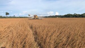 Imagem da notícia - Sistema do Meio Ambiente assina acordo de cooperação para implementar projeto-piloto ‘PRA Valer Amazonas’