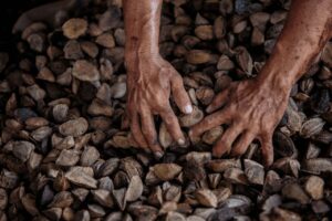 Imagem da notícia - Governo do Estado reúne com BID em discussão sobre desenvolvimento de projetos de biotecnologia para o AM