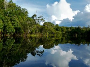 Imagem da notícia - Novo acordo de pesca define regras para uso de rios e lagos no entorno da RDS Mamirauá