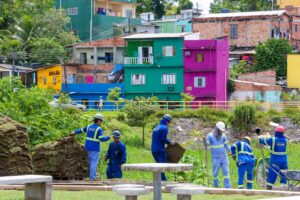Imagem da notícia - Prosamin+ inova com reflorestamento de áreas degradadas e ampliação do espaço verde
