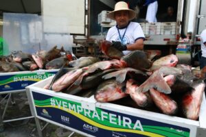Imagem da notícia - Governo do Amazonas entrega 60 toneladas de tambaqui em edição especial do Peixe no Prato