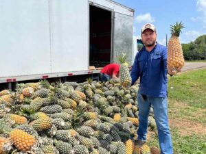 Imagem da notícia - Governo do Amazonas adquire 120 toneladas de alimentos da agricultura familiar durante ação emergencial