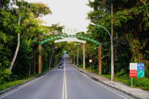 Imagem da notícia - Pesquisa desvenda biodiversidade de fragmentos florestais urbanos localizados em Manaus e no interior