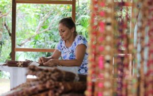 Imagem da notícia - Governo do Amazonas garante 13 milhões de euros para execução de projeto pelo Fundo Floresta