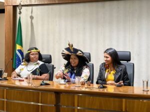 Imagem da notícia - Amazonas participa de reunião com ministra dos Povos Indígenas para ampliar políticas públicas