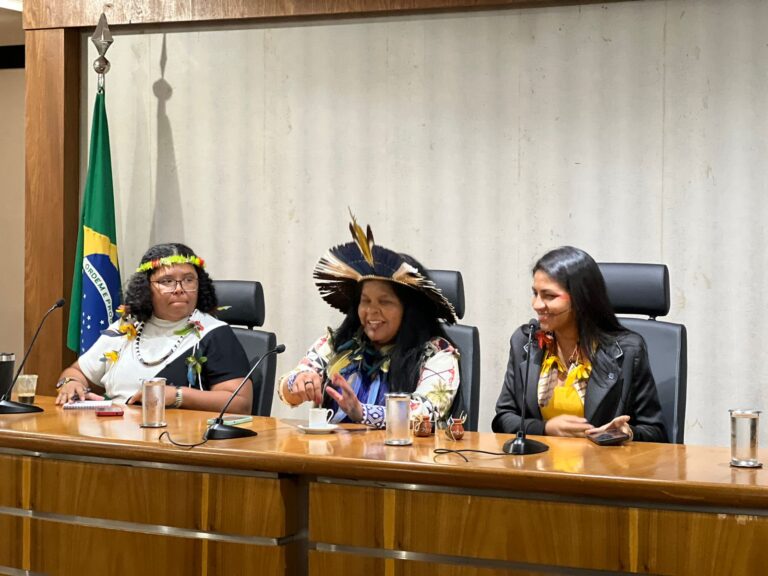 Amazonas participa de reunião com ministra dos Povos Indígenas para ampliar políticas públicas