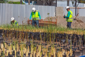Imagem da notícia - Prosamin+ investe em sustentabilidade e transforma cenário nos canteiros de obras