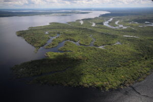 Imagem da notícia - Governo do Amazonas avança com obras da primeira Escola da Floresta na Reserva de Desenvolvimento Sustentável do Uatumã