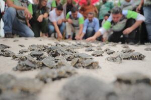 Imagem da notícia - Wilson Lima autoriza pagamento do ‘Guardiões da Floresta’ para 6,4 mil famílias de unidades de conservação do Amazonas
