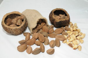 Imagem da notícia - Projeto apoiado pelo Governo do Amazonas reúne informações sobre cooperativas e associações da agricultura familiar