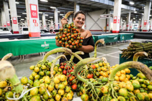 Imagem da notícia - Rapidão Rodoanel Metropolitano de Manaus garante agilidade no escoamento da produção rural dos municípios