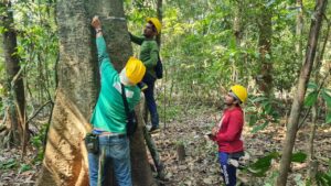 Imagem da notícia - Wilson Lima inaugura mais três ramais e contabiliza 30 quilômetros de obras de pavimentação em Manacapuru neste ano