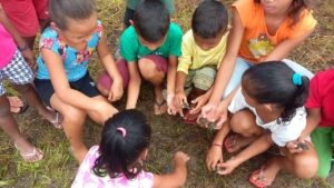 Imagem da notícia - Em trabalho comunitário, mais de 800 filhotes de quelônios são devolvidos à natureza na RDS Rio Madeira