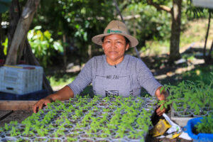 Imagem da notícia - Com investimentos do Governo do Amazonas, mulheres se destacam no setor primário