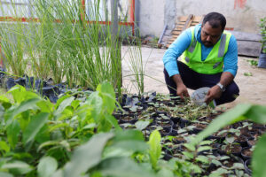 Imagem da notícia - Prosamin+ é referência em ações de sustentabilidade ambiental