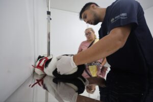 Imagem da notícia - Hospital Público Veterinário do Amazonas garante atendimentos clínicos e de emergência no primeiro dia de funcionamento