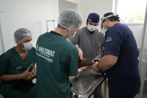 Imagem da notícia - Em dois meses de funcionamento, Hospital Público Veterinário do Amazonas já realizou mais de 70 mil procedimentos